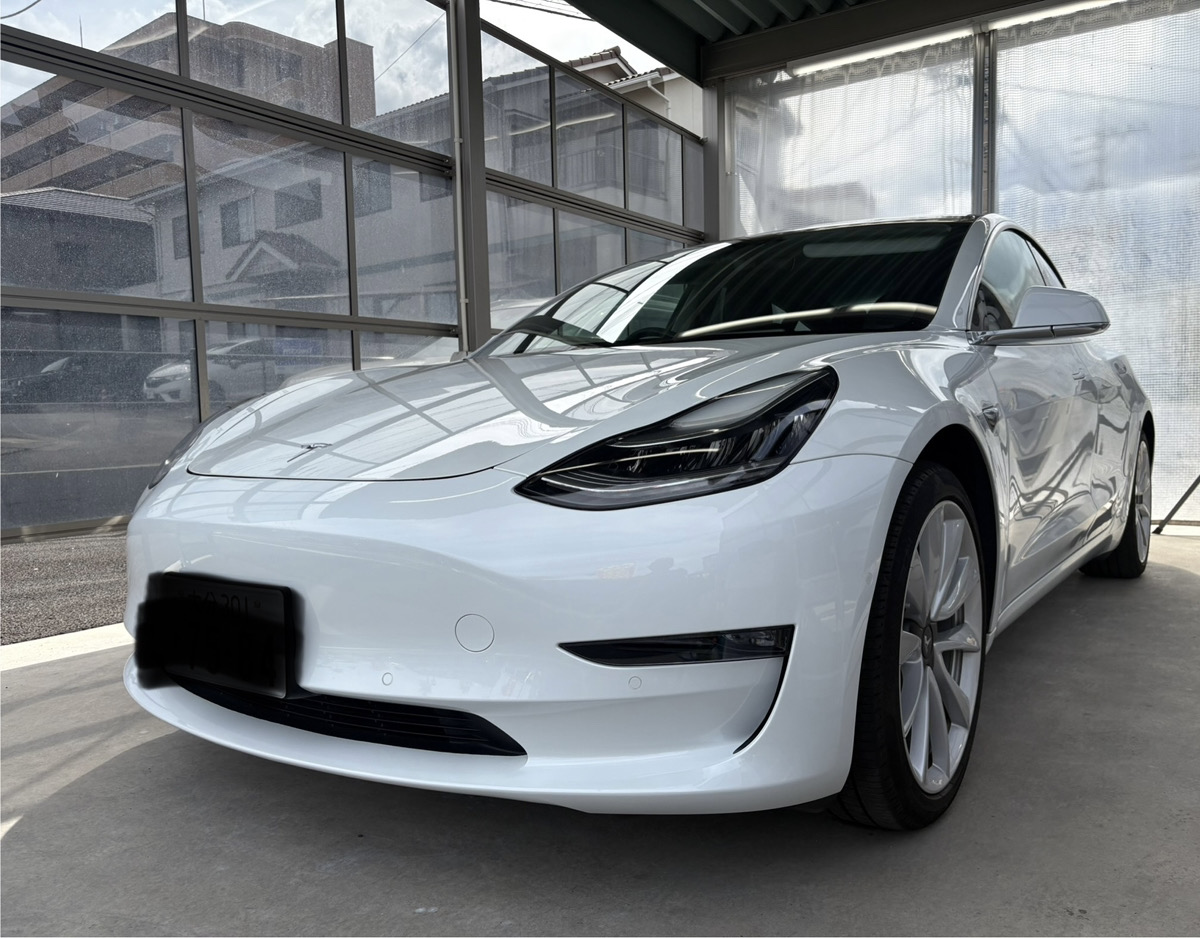 テスラ　モデル３　フレッシュキーパー施工